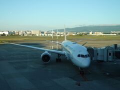 関西の実家で数日ゆっくりして伊丹から花巻空港へ出発です。
1日2便ありますが７時10分発を選択
