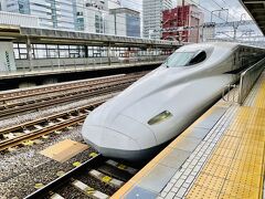 静岡駅で解散

旅行1週間後
なんと連れが発症しました。（涙）
もうコロナは身近に潜んでいることを再認識させられた。
幸い症状的には軽度で隔離生活中です。