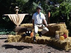 かっちんも飛んでる（2017年9月）

北海道帯広の真鍋庭園で飛びました！
