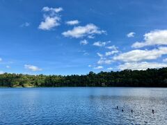 「レイク・イーチャム(Lake Eacham)」

ホテルから車で5分のところにある、深さ65mもある火山湖。
泳いでいる人がたくさん！
でも、「ワニ注意」の看板が(･_･;