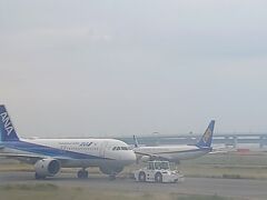 眠い目をこすり関西国際空港発の早朝便に乗り込みます。
関空にも徐々に飛行機が戻ってきました。