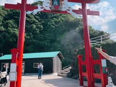 行きたかった元乃隅稲成神社へ
駐車場に入るまでに30分以上待ちました。

ここの賽銭箱も高い。みなさん何度もチャレンジしていました。