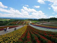 この一面のお花畑！！
平地じゃなくて丘陵だからこその美しさ。
綺麗！！