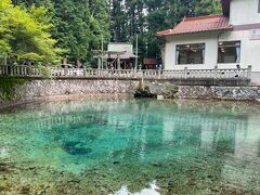 山口県の観光スポットを調べていたときに目に止まった別府弁天池へ
写真通りの色をしていました。