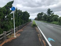渚園から、中之島大橋と浜名湖大橋を渡り、静岡県道３７９号「浜名湖周遊自転車道線」を進みました。
途中、横風の厳しい区間がありましたので、シティサイクルの私は歩道を走りました。
