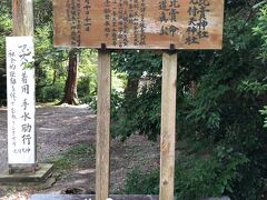 観光案内所のお姉さんオススメスポット その４　見付天神こと矢奈比賣(やなひめ)神社

松ぼっくりは焚き火の火種として紹介されています。
＼ コンニチハ ／
