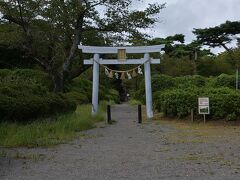 つつじ公園に到着。
