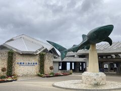 生憎の曇天ですが、「美ら海水族館」に来ました。