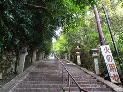 続いて三井寺に入ります。	
天台寺門宗の総本山ですね。いきなり急な階段をのぼります。