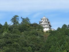 郡上八幡城がきれいに見えました。

日本最古の木造再建城です。