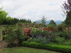 蒜山ハーブガーデンハービル・・・季節のハーブや花々が彩る広大なハーブ園

蒜山三座の眺望が美しいハーブ園

敷地内には季節のハーブや草花が広がり、ハンドクラフト体験もできます

今回季節の変わり目で、華やかさはありませんでしたが、コキアや秋咲のバラ見ることができました

ハーブメニュー味わえるカフェやショップもあり、美しい景色とハーブの香りに癒されました

ハーブの丘はやや急な丘になっていて、頂上には展望台もあり、のどかな田園風景感じることができました