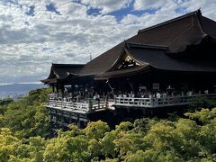わ～
よく見る清水寺の風景ですが、やっぱり良いですね！
絶景です。
早くも紅葉している木がありました。