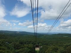 レンタカーを借りてまず向かったのが八甲田山ロープウェイ

どこまでも広がる森を上から眺めることができます。これがまた絶景！！