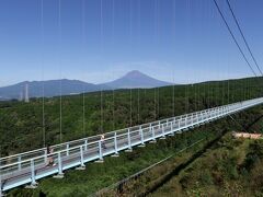 箱根峠を越えて
やってきたのは三島スカイウォーク
妻が行きたがってたので