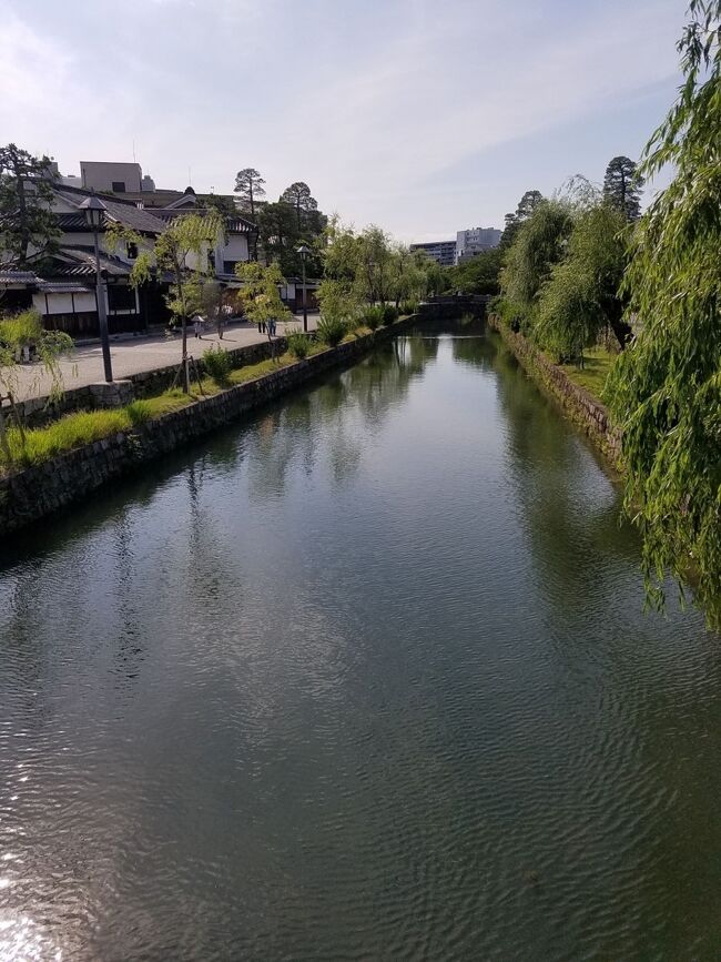 倉敷川。今橋を振り返る