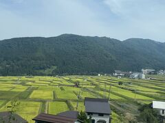 野沢温泉村に入りました。途中棚田も見えた。