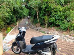 プラタナックの丘から湾を一望します。