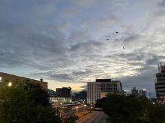 早朝5時
朝日が昇り始めた空を、たくさんのカラスが飛んでいきます
