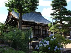 100年前の大火事から唯一残ったお寺、円光寺のようです。
まだ紫陽花が咲いていて、この日は暑かったものの～ちょっと涼し気に感じました。