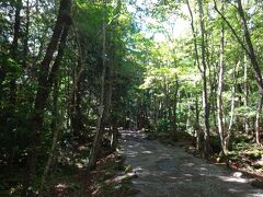 この小道は野鳥観察に最適のようで、まばらですが、バードウオッチングを楽しむカップルが歩いています。

我々もチャレンジするもあまり小鳥に出会えませんでした。

ここから車を移動します。