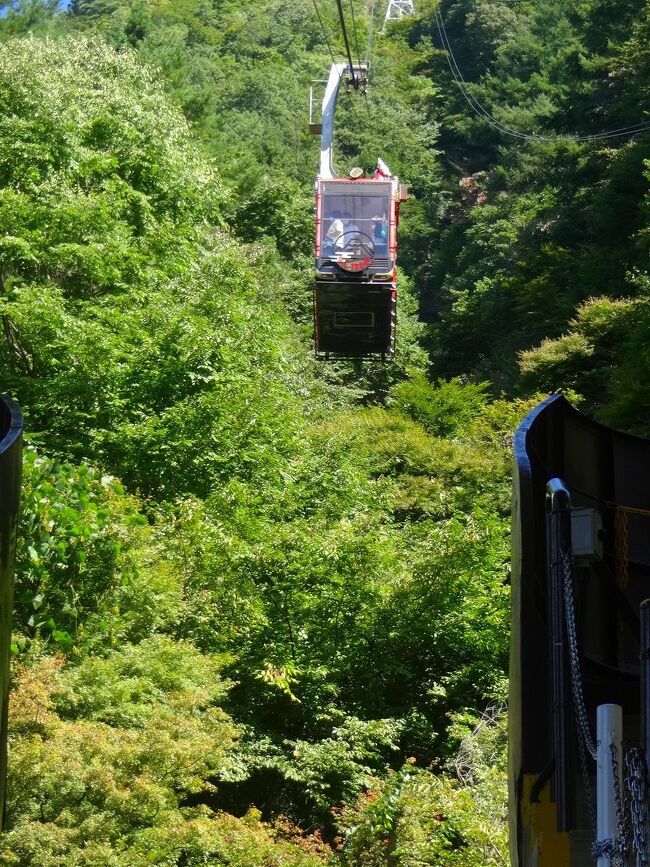 晴れの日の甲斐路旅はガイジンに人気の高みからーーー』富士五湖