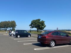 あっ！！駐車場の車越しに見えるのは。。
セブンスターの木ですよぉ～(^O^)