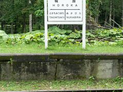 廃線駅の跡地

旧国鉄　士幌線の終着駅と集落があり　木材の積み出しとして栄えていましたが　そのうちに　木材の処理がおわると　人が消えて行って　昭和５３年列車運行は廃止され　バスによる代行輸送になりました

駅名の看板を新しくしたら　来る人が多くなったらしいです