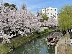 桃山御陵前駅から10分ちょっとで濠川に出ました！

うわ～っ！
桜並木が綺麗ですよ☆
弁天橋の下には伏見十石舟の乗り場が。