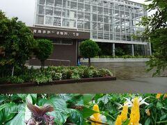 宮崎県立青島亜熱帯植物園
「青島参道南広場駐車場」に車を停めて園内を散策しました。
左下写真　ブラックキャット