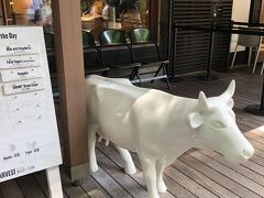 今年の梅雨時の東京は暑くて暑くて。
涼しさを求めて軽井沢へ来たけど、昼間はちょっと暑かったです。ただ東京のような蒸し暑さは無く爽やかー。お昼の前にまずジェラートを。