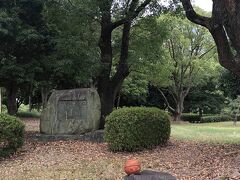 石の上にいい感じに置かれたバスケットボール。
最初オブジェかと思ったけど、誰かが置き忘れたんだよね？
それともほんとにオブジェ？