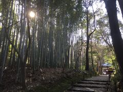 地蔵院(竹の寺)