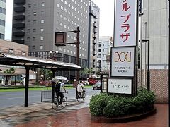 ＡＭ８時４０分。外は小雨模様ですが、気を引き締めて出陣！！

本日は第１日目の旅行記の通り、「桜島フェリー」が午後に運休の可能性が濃厚なので、午前中に「桜島観光」を遂行することがミッションとなります。

当初計画では「指宿温泉」を目指す予定だったんですがね～、、、
大昔、大学のゼミ旅行で行ったことあるし、今回の計画断念は止む無しです。