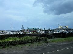 午前中に行った「鹿児島港フェリーターミナル」が遠くに見える。
