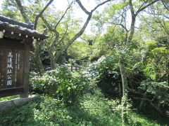 次に高遠城址公園を訪れました。桜の日本三大名所として知られる国の指定史跡になっている公園です。南北朝時代の高遠氏を含め5氏が城主を務めた城跡で、明治時代に入り始めた桜の植樹により、現在は1000本以上の桜が咲き乱れます。タカトオヒガンザクラという色が濃い高遠の固有種ですが、今回は初秋に訪れたため、園内は緑に覆われていました。桜の季節には多くの人で賑わい、公園に向かう道路は大渋滞しますが、今回はほとんど人と出会うことがなく緑豊かな静かな公園でした。