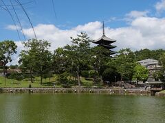 三条通をまっすぐに行くと猿沢池に着きます。
猿沢池と興福寺五重塔のコラボは奈良を代表する景観の１つ。
ガイドブックなどにもよく使われています。

池の周りのベンチでは多くの人がくつろいでいました。