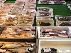 新鮮な魚介類が並びます。お店の方にお聞きして、鮮度の良い魚介に〇印に活と書いてある、丸活の活きイカとサザエを買いました。