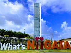 上から見えたオブジェが気になり、
路線バスに乗る前に、寄ってみる。

「What’ｓ　NIIGATA」の有名な？ロゴ。

「新潟って何？」って・・
いや、観光客なので、こちらが聞きたい。（失礼）