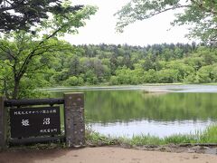 鴛泊港からバスに乗り姫沼へ。利尻富士が見えると逆さ富士が湖沼に映るのですが、この時間は望めそうにありません。沼の周りを一周します。