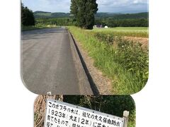 ‥次も此処も行き当たりばったり＾＾；；地図で見てはいても寄るつもりはなかったのですが、「北西の丘展望台」のすぐ近くなんです。

「ケンとメリーの木」
見に来ている方々・・同じような年齢でしたね～
