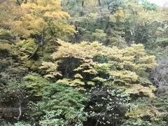 朝起きると、窓の外には昨夜とは違う紅葉の景色が広がっていました。