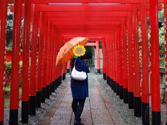 神社の裏口に繋がる、20基以上の朱塗りの鳥居が連なった鳥居のトンネル。