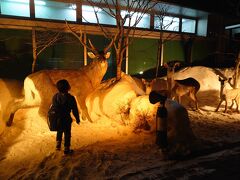 2/27　夕方の便だったので、自宅を14時に出発
渋滞なく1時間かからず羽田へ
駐車場は2-4階しか開いておらず、かつてなく空いていました

ブルーシールでクレープやアイスを食べてからチェックイン
手荷物検査も空いてる
ラウンジでのんびりしてから搭乗

本日は北海道の翼AirdoとANAの共同運航便で、AirDo運航
前は搭乗の際に白い恋人くれたけど本日はいただけず

あっという間の1時間半
釧路はすでに日没後、すっかり寒くなっていました
