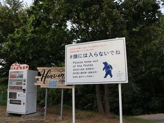 「せっかく天に続く道を通っているので撮影しませんか？」とドライバーの木村さんからの提案で一度下車します。