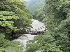 祖谷のかずら橋