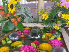 近くの重蔵神社へ。
花手水がきれいだった。最近多いね。