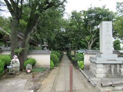 あじさい寺として知られる妙楽寺へ
境内に多くの紫陽花が植えられていることから、地元ではアジサイ寺という名称で親しまれています。境内には桜や枝垂桜、つつじ、藤、紅葉、彼岸花なども植えられていて、花の寺といった雰囲気が感じられ、アマチュアカメラマンがカメラ片手に訪れていました。