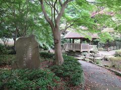 等覚院から750mほどの東高根森林公園へ。
面積11ha、高低差30mという広大な敷地を持つ緑豊かな公園です。園内のいたるところに園内案内図が立っているので道に迷うことはありませんが、案内図がなければ迷ってしまうほどの広い公園です。