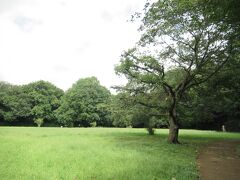 公園の最も高い場所に位置する古代芝生広場には、弥生時代から古墳時代にかけての竪穴式住居の集落が埋蔵保存されています。およそ100から150軒の住居があったと推定されているそうですが、現在は広い草地になっていて住居跡を見ることはできません。簡単な説明板は立っていますが、埋蔵されている様子がわかる写真や、土器や石器など生活に使用したものが展示されていると、遺跡がより身近に感じられると思いました。