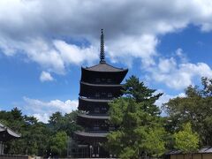 次は興福寺へ。
奈良には、ぐるっとバスという主要観光地を回れるバス路線があり、とても便利です。東大寺と興福寺は歩けるとのことでしたが、とにかく暑いのでバスで行きました。
ここでは国宝館がメイン。阿修羅像や銅造仏頭など資料集でしか見たことのない本物をみてもらいたく。しかしとにかく暑い。
